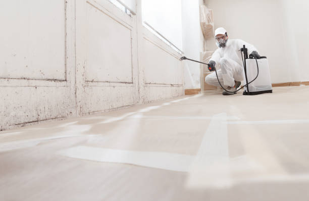 24/7 Emergency Commercial Mold Remediation experts in Louisburg, NC