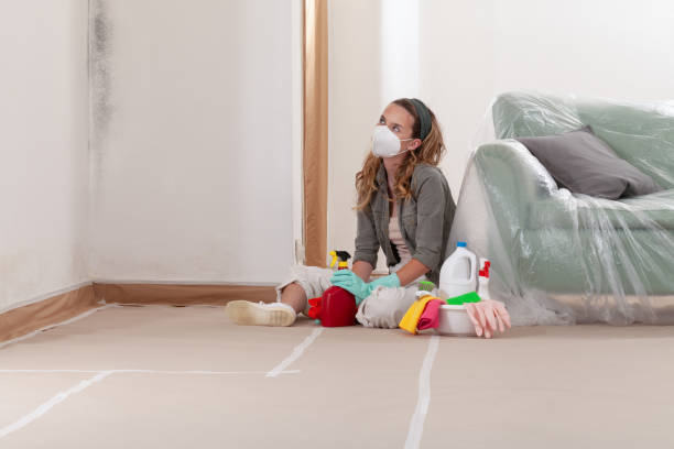 Reliable Commercial Mold Remediation contractor in Louisburg, NC by Car Mold Remediation