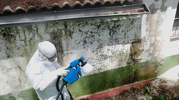 Top rated local Commercial Mold Remediation specialists in Louisburg, NC